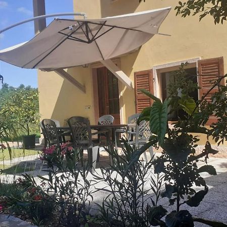 Ca' La Volpe Villa Torri Del Benaco Ngoại thất bức ảnh